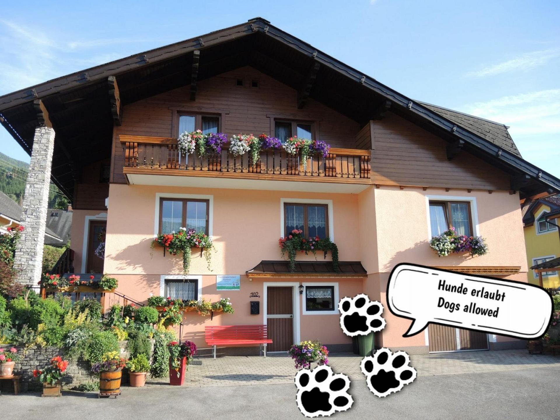 Hunde Willkommen