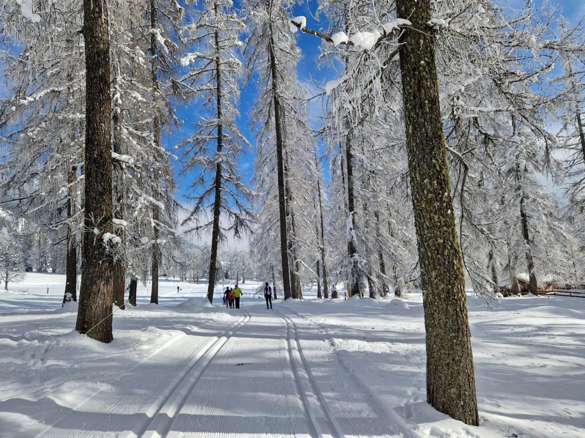 Langlaufparadies Ramsau